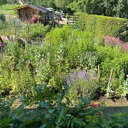 An Der Wiese Apartamento Schopfheim